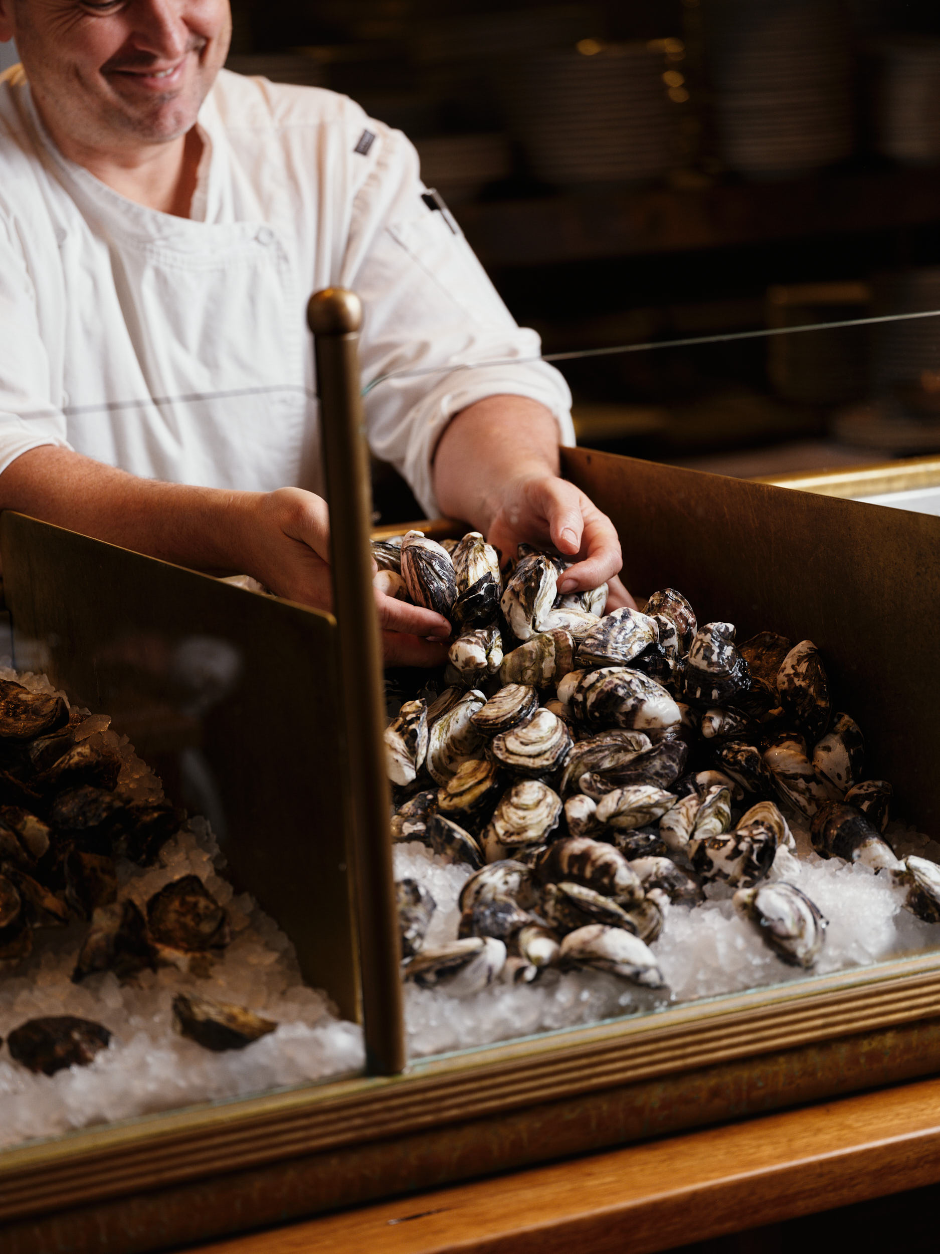 destination for oyster and oyster hour $20 oysters on wednesdays 6-7pm